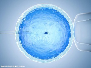 代怀双胞胎生男孩